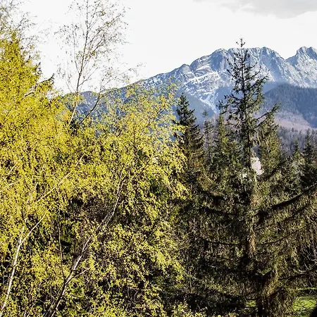 Pod Reglami * Zakopane